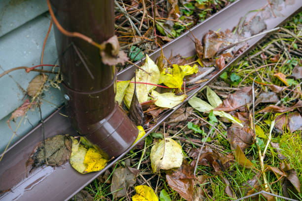 Leaf Gutter Guard Systems/Screening